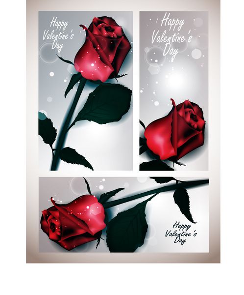 کارت های تعطیلات زیبا با گل رز قرمز واقع گرایانه