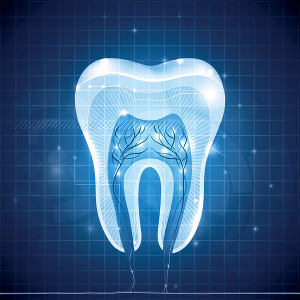 سطح مقطع دندان سفید سالم آناتومی دقیق طرح دندان آبی انتزاعی