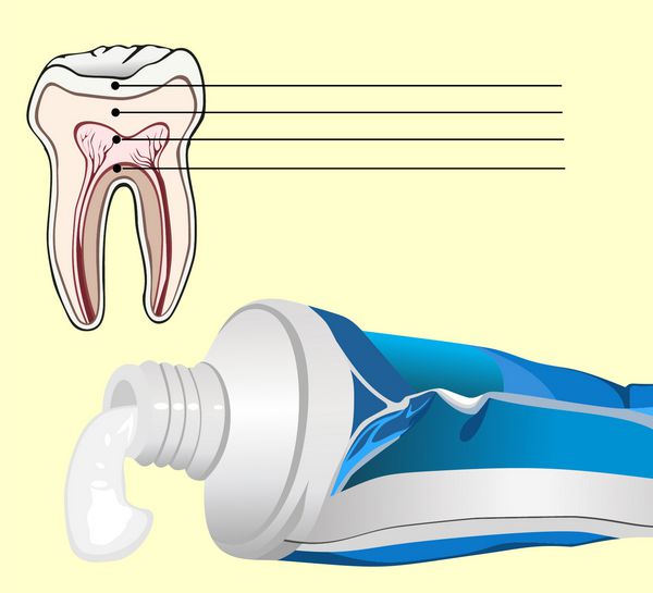 بردار مفهوم دندانپزشکی دندان و خمیردندان