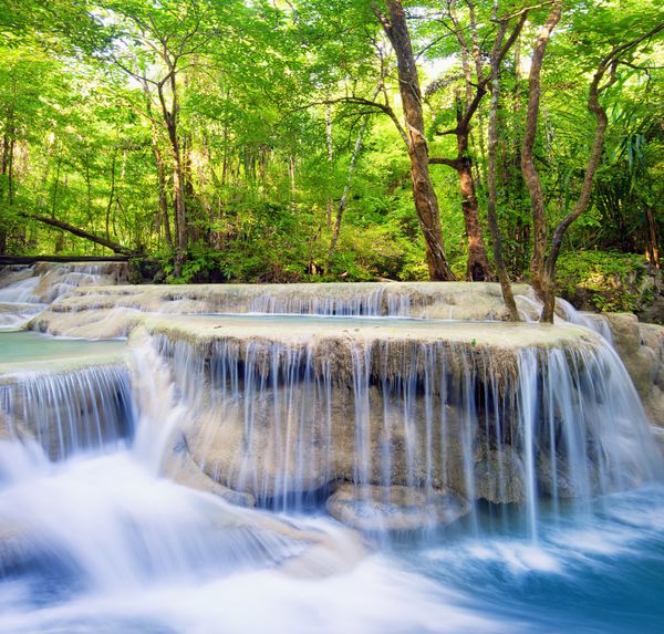 پس زمینه چشم انداز آبشار عکاسی از طبیعت زیبا در فضای باز جنگل‌های بارانی سبز تایلند با درختان و بوته‌ها رودخانه آب تمیز و خنک از میان آبشارها و ریشه‌های سنگی می‌گذرد