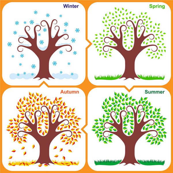 درخت وکتور در 4 فصل زمستان بهار تابستان و پاییز