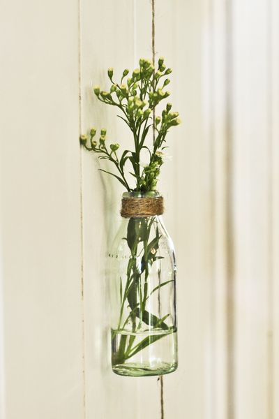 یک ظرف شیشه ای به گلدانی برای گل های تازه تبدیل شده است