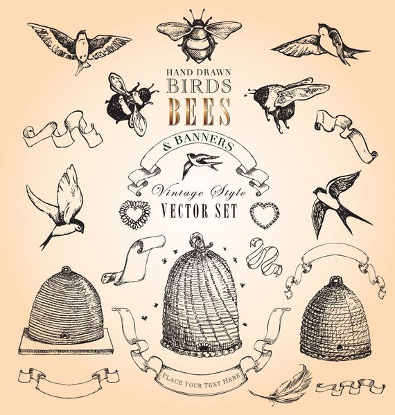 مجموعه وکتور پرندگان زنبورها و بنرهای قدیمی طراحی شده با دست