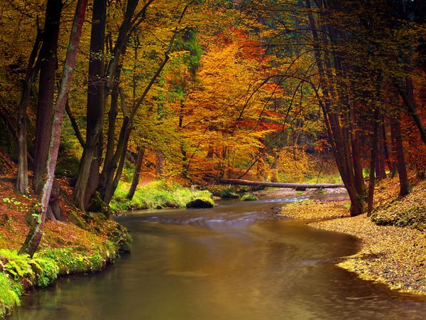 عکس خفن عکس طلوع خورشید در پاییز