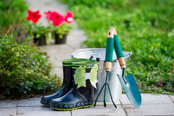چکمه های بارانی و تجهیزات باغبانی در مسیر