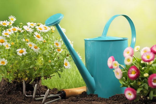 ابزار باغبانی و گل