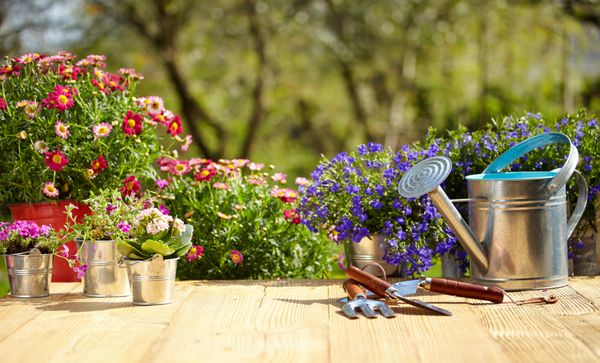 ابزار باغبانی در فضای باز و گل روی میز چوبی قدیمی