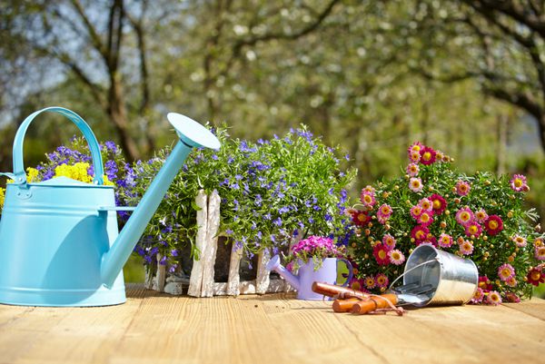 ابزار باغبانی در فضای باز و گل روی میز چوبی قدیمی