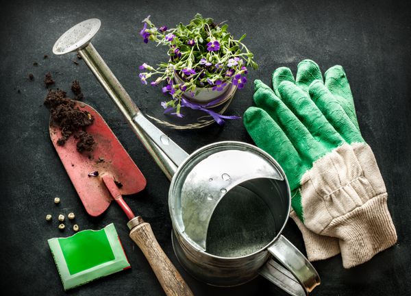 ابزار باغبانی قوطی آبیاری گل دستکش بیل خاک و دانه در زمینه تخته سیاه سیاه مفهوم بهار در باغ