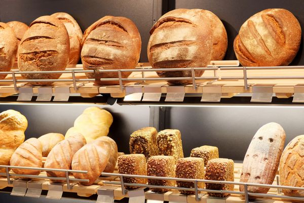 تصویر انواع مختلف نان تازه پخته شده