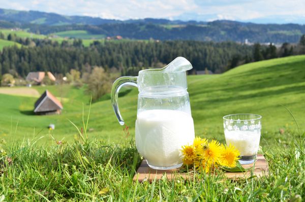 کوزه شیر منطقه Emmental سوئیس
