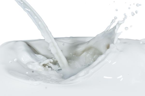 پاشیدن شیر جدا شده در زمینه سفید