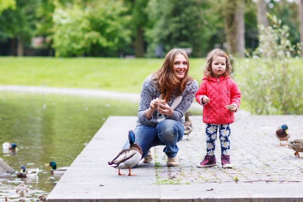 مادر و دختر شایان ستایشش در حال غذا دادن به اردک ها در تابستان در پارک