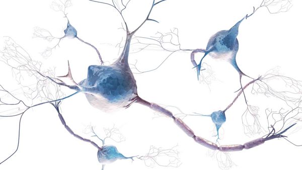 نورون ها و سیستم عصبی رندر سه بعدی سلول های عصبی ارگانیک