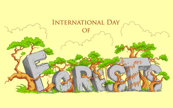 تصویر روز جهانی جنگل با درخت سبز