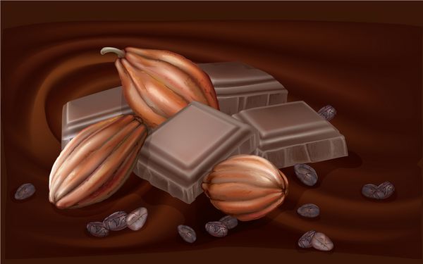 میوه کاکائو و تکه های شکلات روی زمینه شکلاتی