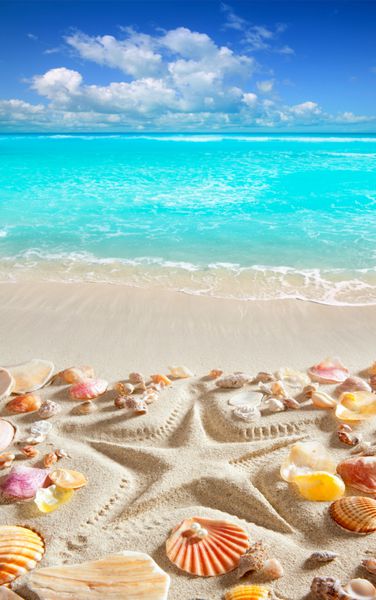 ستاره دریایی چاپ شده در شن و ماسه سفید و صدف های یک ساحل آبی آبی گرمسیری تصویر عکس
