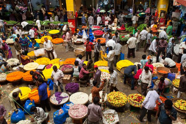 بنگلور هند - 06 ژوئن مروری بر بخش اصلی بازار گل در بنگلور 6 ژوئن 2014 در بنگلور هند