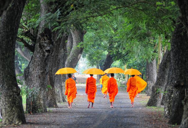 AN GIANG ویتنام - 19 فوریه راهبان جوان ناشناس در حال پیاده روی صدقه صبحگاهی در An Giang ویتنام در 19 فوریه 2014 بودیسم Theravada بین سال های 300-600 پس از میلاد از هند به جنوب ویتنام رسید