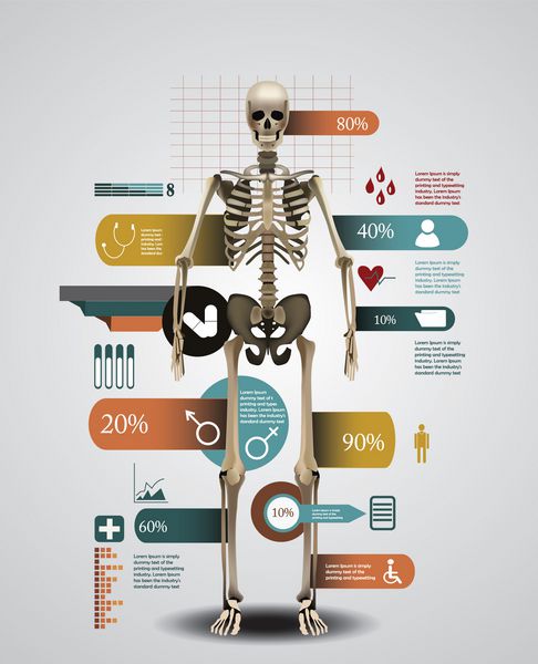 الگوی اینفوگرافیک پزشکی با اسکلت واقعی انسان