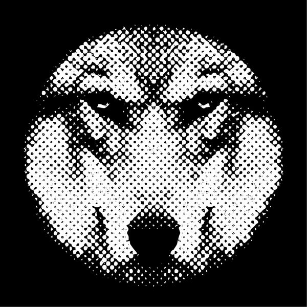 تماس چشمی با یک گرگ وحشتناک از طریق لنز بیان تهدیدآمیز لوپوس کانیس خطرناک ترین جانور سگ سانان تصویر وکتور سیاه و سفید شگفت انگیز وحشت صاحب جنگل
