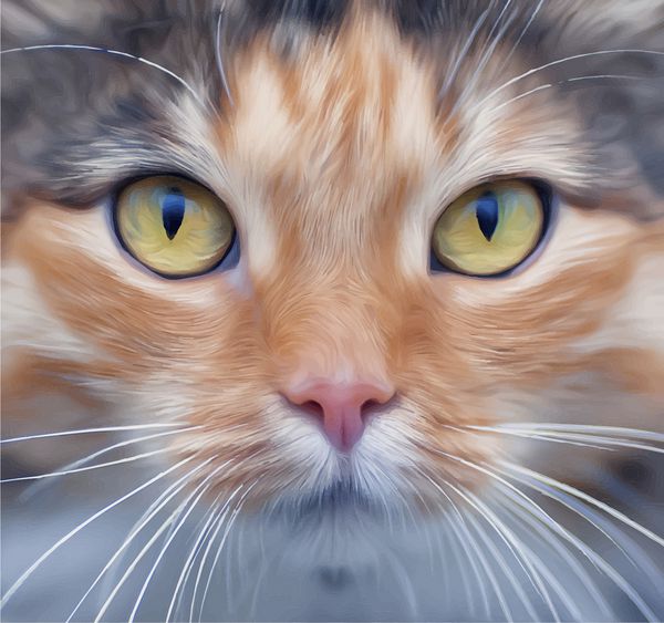 به روح یک گربه ماده بسیار زیبا نگاه کنید تماس چشمی از طریق عدسی با مردمک‌های گربه‌سنگ کاملاً باز با عنبیه زرد روشن تصویر وکتور غیر معمول به سبک رنگ روغن