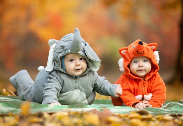 دو نوزاد پسر با لباس حیوانات در پارک پاییزی تمرکز بر کودک در لباس فیل