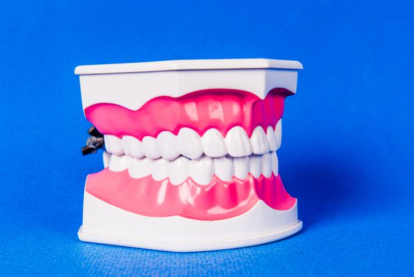 مدل دندانی ایزوله دندان در زمینه آبی