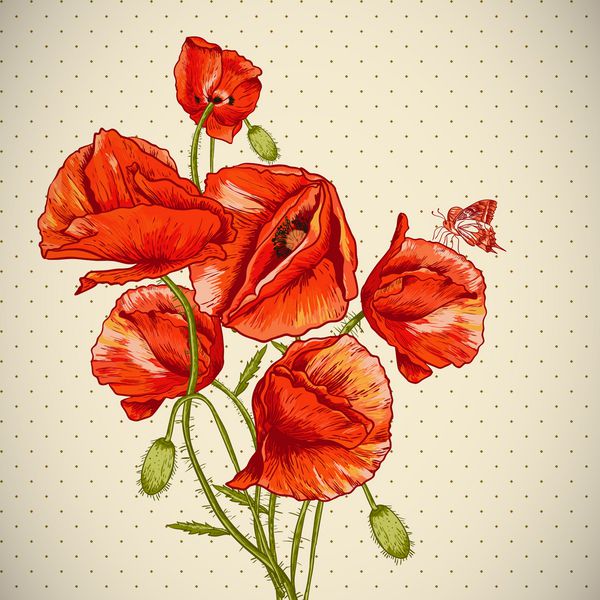 دسته ای از تصویر وکتور زیبای خشخاش قرمز دعوتنامه طرح کارت گل با خشخاش