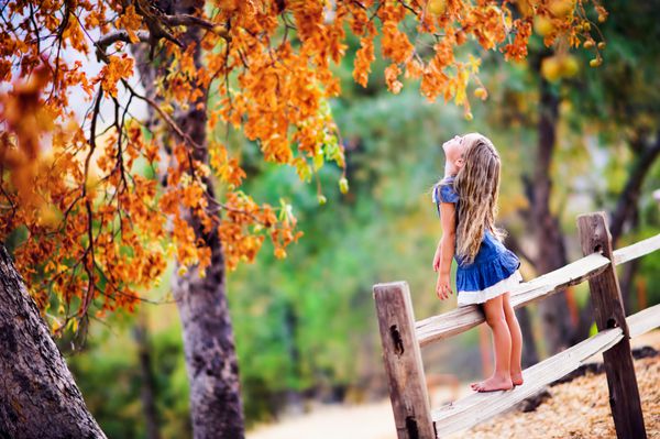 دختر کوچک زیبا در پس زمینه چشم انداز زیبایی پاییز استراحت می کند