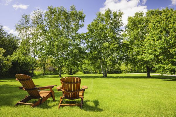 دو صندلی چوبی روی چمن سبز سرسبز با درختان