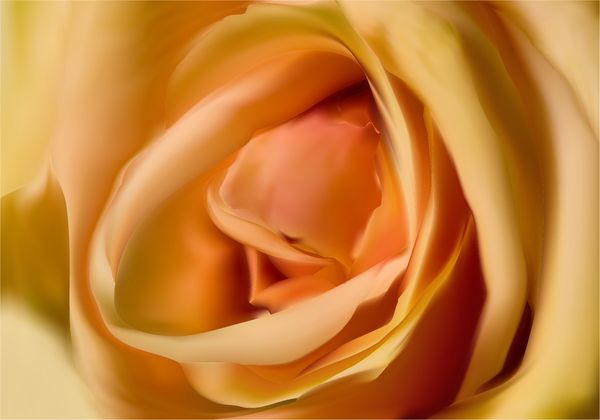تصویر با مرکز گل رز زرد روشن