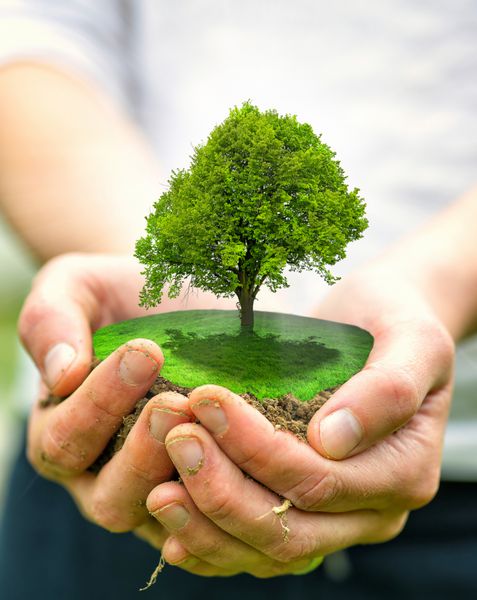 سیاره سبز در دستان قلب شما - مفهوم محیطی