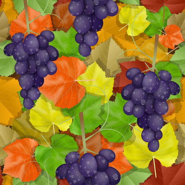 الگوی برگ های پاییزی با انگور