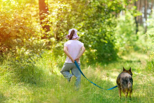 دختر کوچولویی که با سگ در جنگل راه می‌رود پشت دوربین