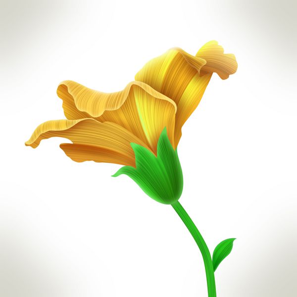 تصویر گیاه شناسی قدیمی گل هیبیسکوس گرمسیری به سبک بسیار مد پس زمینه گل کالیفرنیایی یا هاوایی