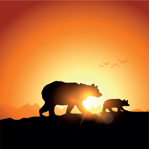 خرس‌های وحشی در مقابل غروب خورشید در کوه‌ها ترسیم شده‌اند