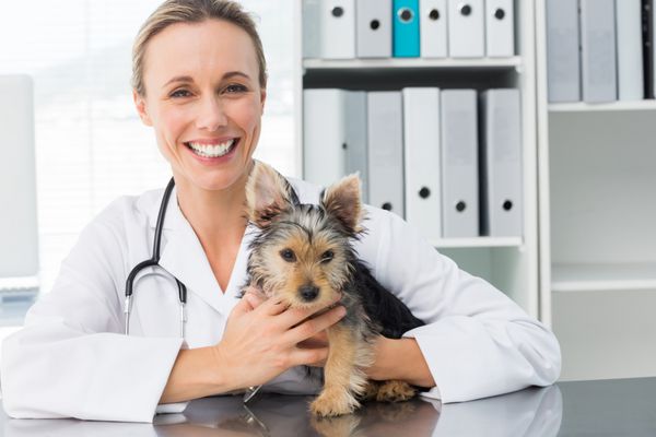 پرتره دامپزشک زن خوشحال که توله سگ را در کلینیک نگه داشته است