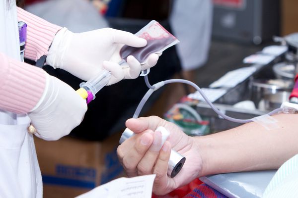 اهدای خون انتقال خون چک مشخص شده روزه داری مراقبت های بهداشتی