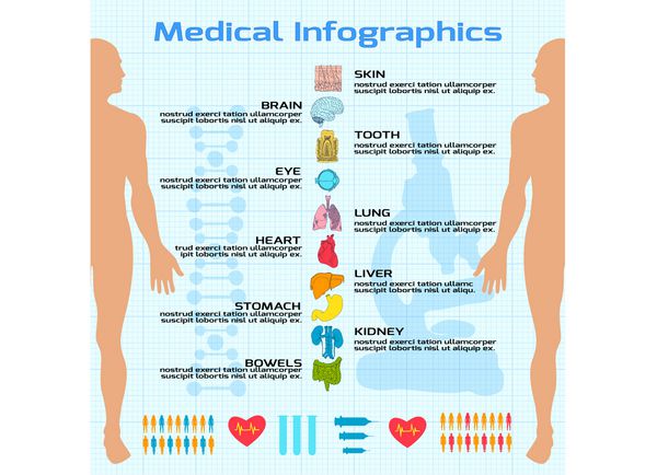 اینفوگرافیک پزشکی مسطح با وکتور تصویر شبح بدن انسان و نمادهای اندام