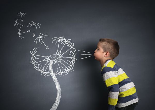 کودکی که دانه های قاصدک را روی یک مفهوم تخته سیاه برای آرزوها امیدها و آرزوها می دمد