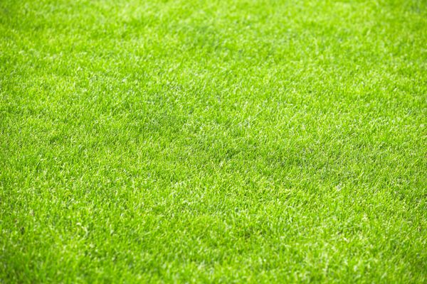 عکس زمین فوتبال خفن