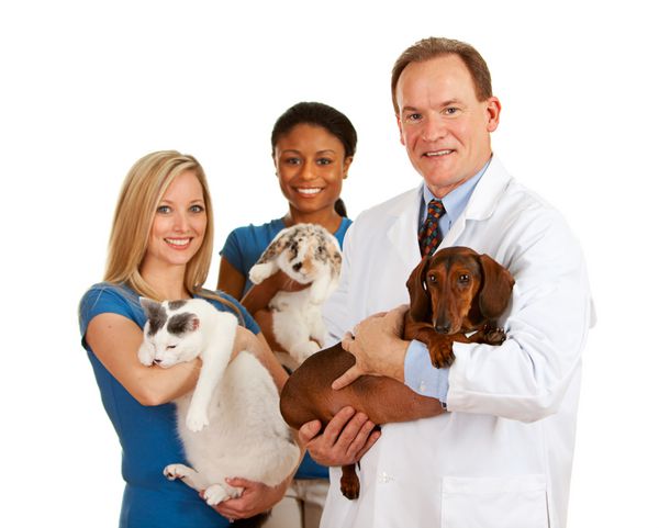 دامپزشک حیوانات خانگی نگهدارنده دامپزشک و تیم استند