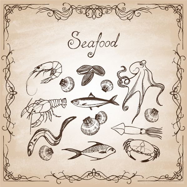 مجموعه ای از عناصر دست کشیده غذاهای دریایی طراحی غذاهای دریایی سبک قدیمی وکتور