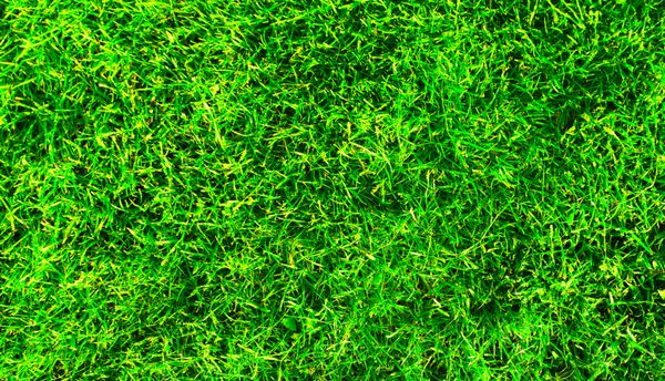 پس زمینه سبز بافت چمن زمین فوتبال با پرتوهای زرد روشن آفتابی اولین خورشید بهاری در روز براق در فضای باز