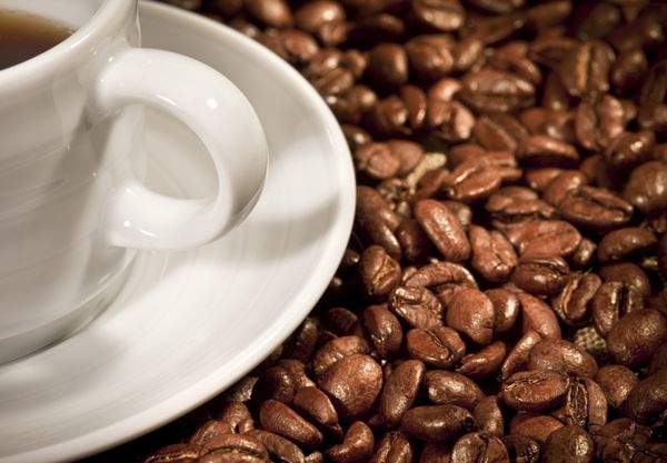 فنجان قهوه در بستری از دانه های قهوه نشسته است
