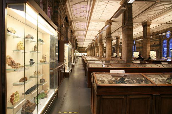 لندن - 7 ژانویه نمای داخلی موزه تاریخ طبیعی در 7 ژانویه 2011 در لندن انگلستان مجموعه‌های موزه شامل 70 میلیون مورد از گیاه‌شناسی حشره‌شناسی کانی‌شناسی دیرینه‌شناسی و جانورشناسی است