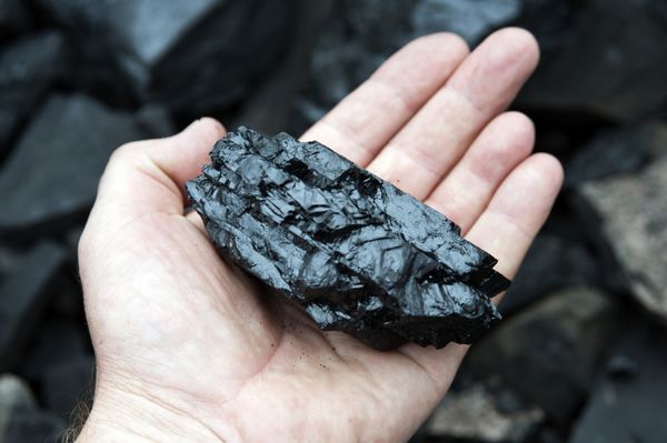زغال سنگ در دست یک گودال عملیات معدن معدن