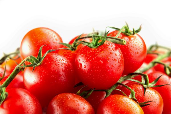 گوجه فرنگی تازه