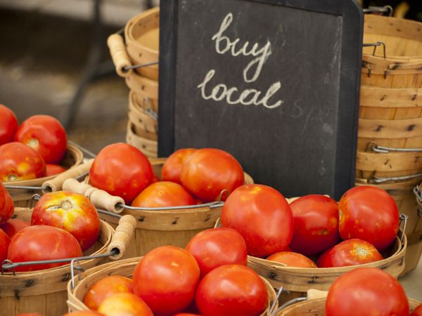 غذاهای ارگانیک تازه در بازار کشاورزان محلی بازارهای کشاورزان روشی سنتی برای فروش محصولات کشاورزی است